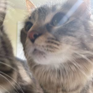 Meet your Posher, Hayleigh